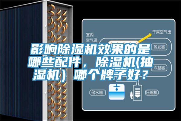 影响免费看操逼软件效果的是哪些配件，免费看操逼软件(抽湿机）哪个牌子好？