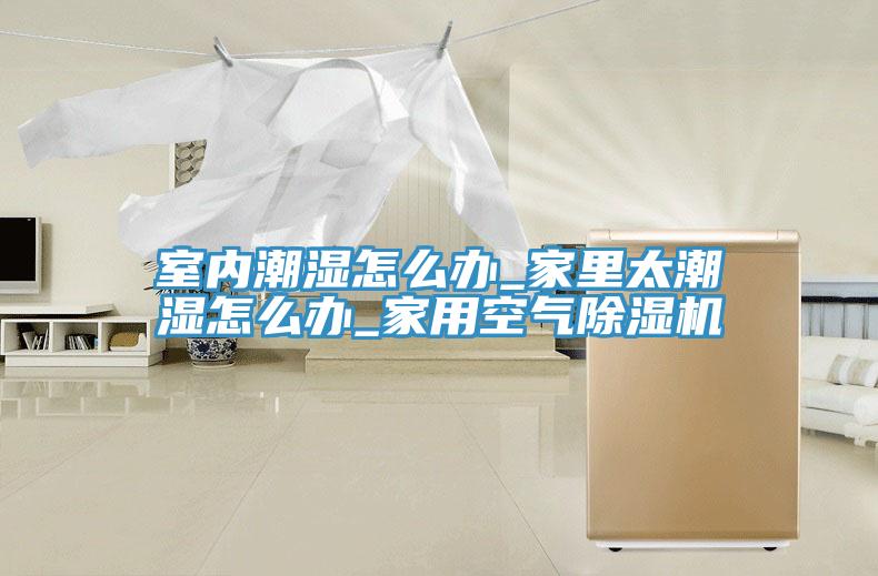 室内潮湿怎么办_家里太潮湿怎么办_家用空气免费看操逼软件