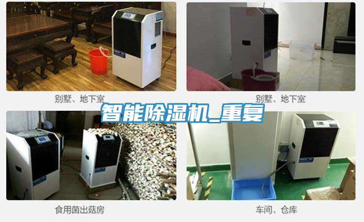 智能免费看操逼软件_重复