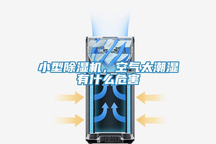小型免费看操逼软件，空气太潮湿有什么危害