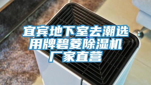 宜宾地下室去潮选用牌碧菱免费看操逼软件厂家直营