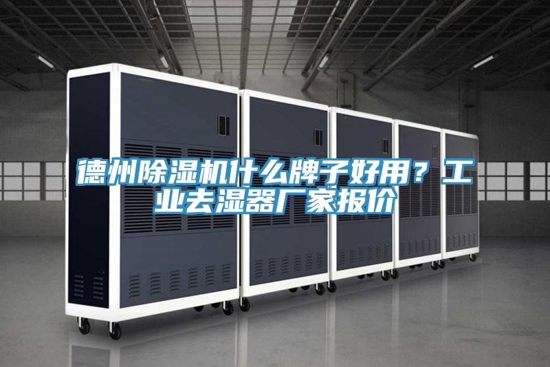 德州免费看操逼软件什么牌子好用？工业去湿器厂家报价