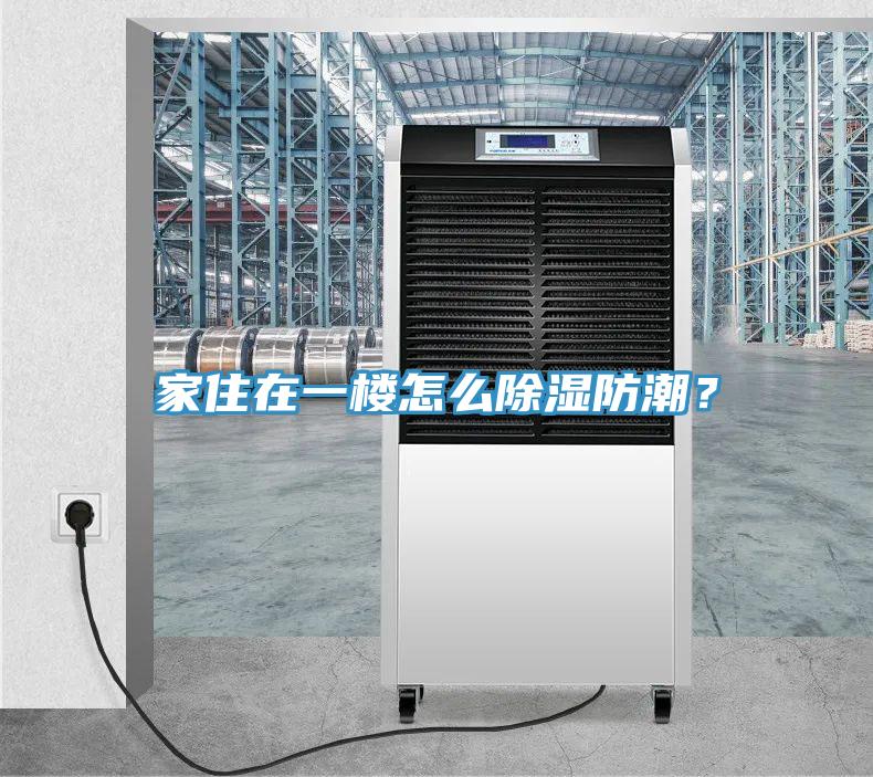 家住在一楼怎么除湿防潮？