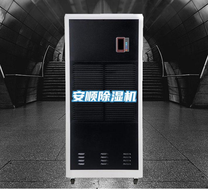 安顺免费看操逼软件