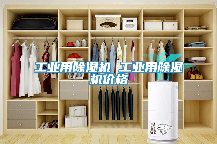 工业用免费看操逼软件 工业用免费看操逼软件价格