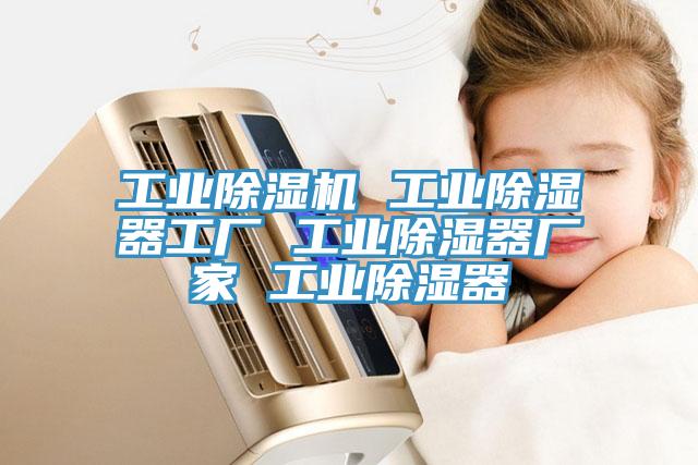 工业免费看操逼软件 工业除湿器工厂 工业除湿器厂家 工业除湿器