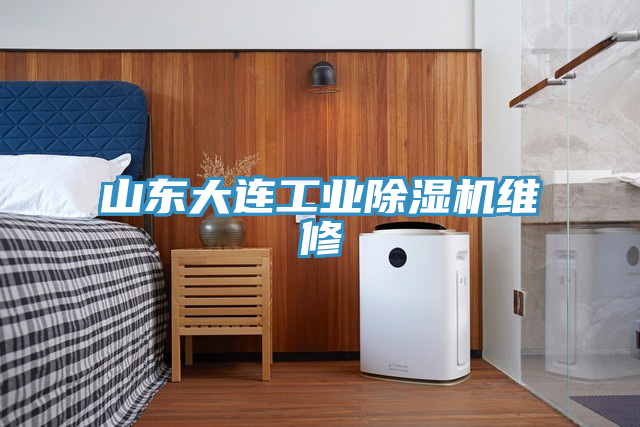 山东大连工业免费看操逼软件维修