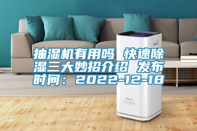 抽湿机有用吗 快速除湿三大妙招介绍 发布时间：2022-12-18