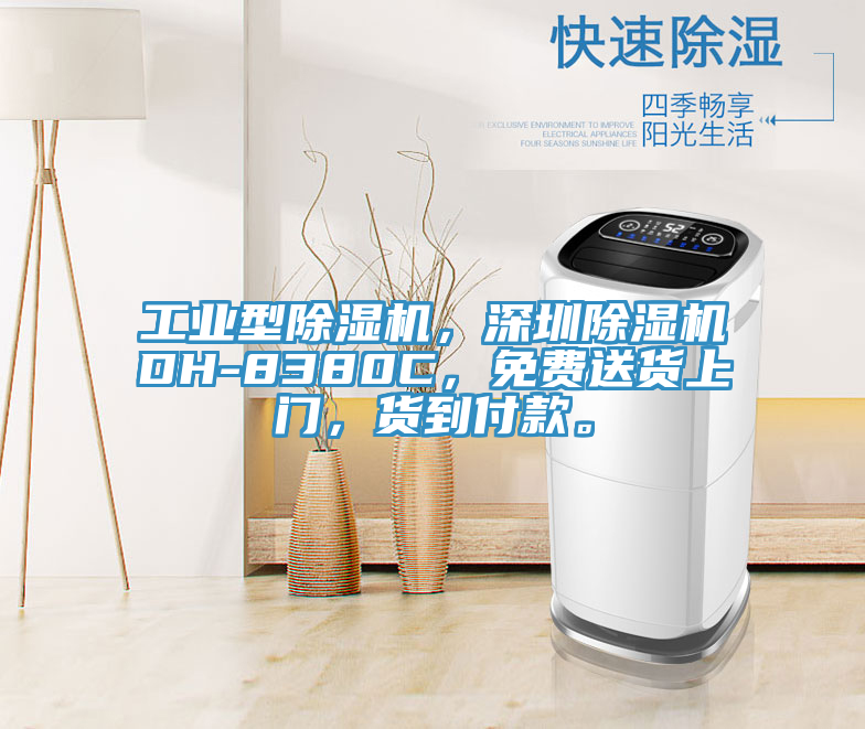 工业型免费看操逼软件，深圳免费看操逼软件DH-8380C，免费送货上门，货到付款。