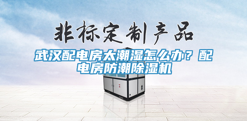 武汉配电房太潮湿怎么办？配电房防潮免费看操逼软件