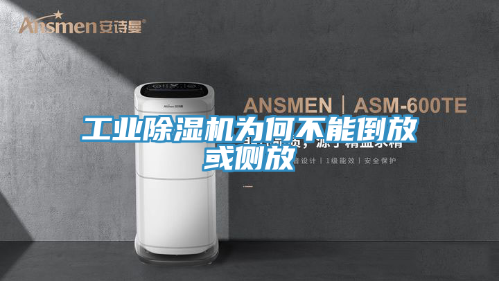 工业免费看操逼软件为何不能倒放或侧放
