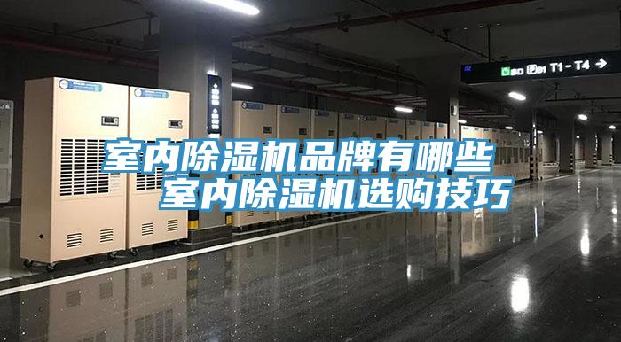 室内免费看操逼软件品牌有哪些   室内免费看操逼软件选购技巧