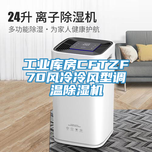 工业库房CFTZF70风冷冷风型调温免费看操逼软件