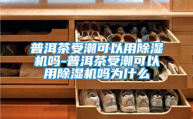 普洱茶受潮可以用免费看操逼软件吗-普洱茶受潮可以用免费看操逼软件吗为什么