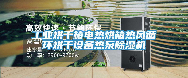 工业烘干箱电热烘箱热风循环烘干设备热泵免费看操逼软件