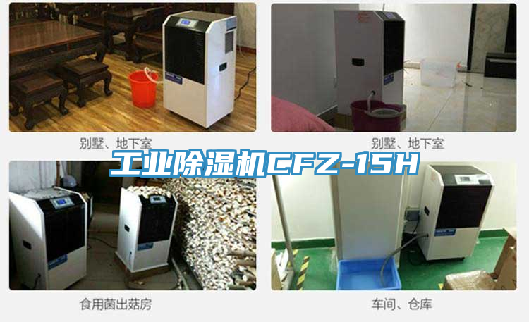工业免费看操逼软件CFZ-15H