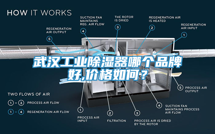 武汉工业除湿器哪个品牌好,价格如何？