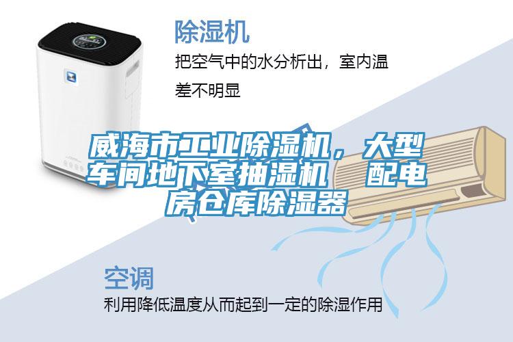 威海市工业免费看操逼软件，大型车间地下室抽湿机  配电房仓库除湿器