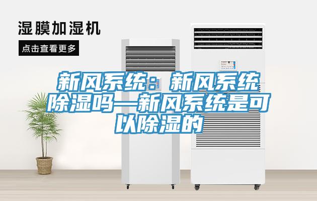 新风系统：新风系统除湿吗—新风系统是可以除湿的