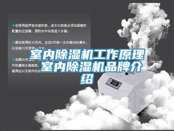 室内免费看操逼软件工作原理 室内免费看操逼软件品牌介绍