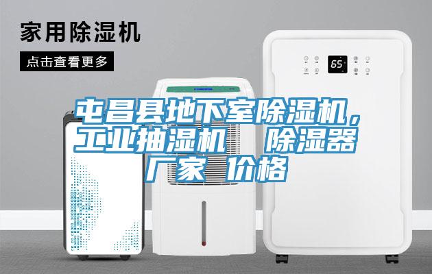 屯昌县地下室免费看操逼软件，工业抽湿机  除湿器厂家 价格