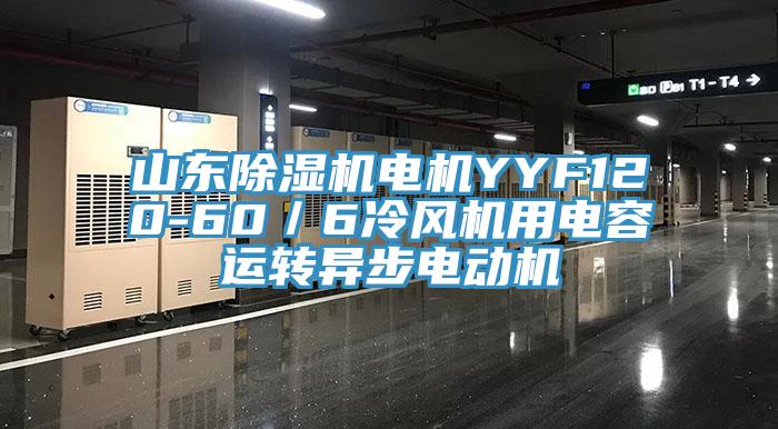 山东免费看操逼软件电机YYF120-60／6冷风机用电容运转异步电动机