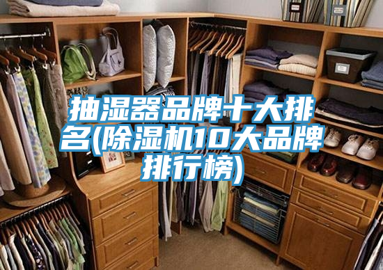 抽湿器品牌十大排名(免费看操逼软件10大品牌排行榜)