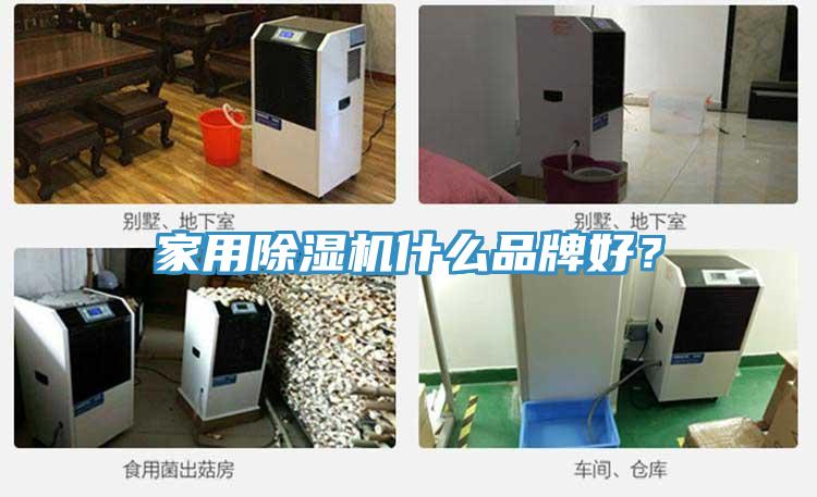 家用免费看操逼软件什么品牌好？