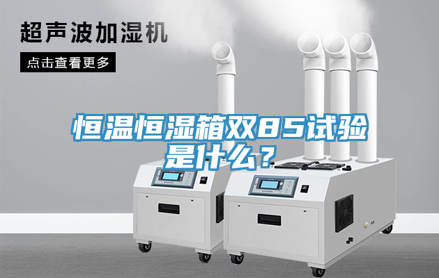恒温恒湿箱双85试验是什么？