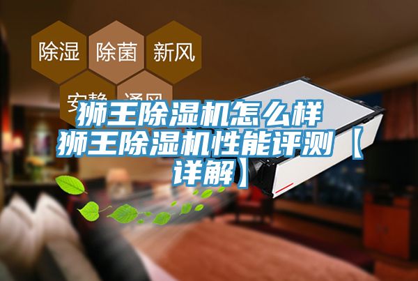狮王免费看操逼软件怎么样 狮王免费看操逼软件性能评测【详解】