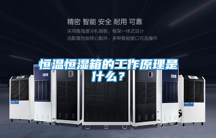 恒温恒湿箱的工作原理是什么？