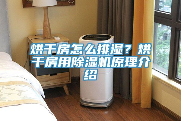 烘干房怎么排湿？烘干房用免费看操逼软件原理介绍