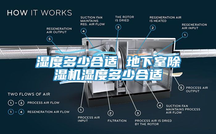 湿度多少合适 地下室免费看操逼软件湿度多少合适