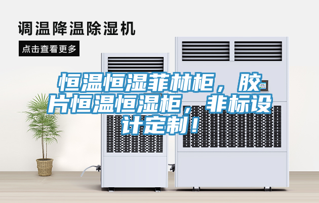 恒温恒湿菲林柜，胶片恒温恒湿柜，非标设计定制！