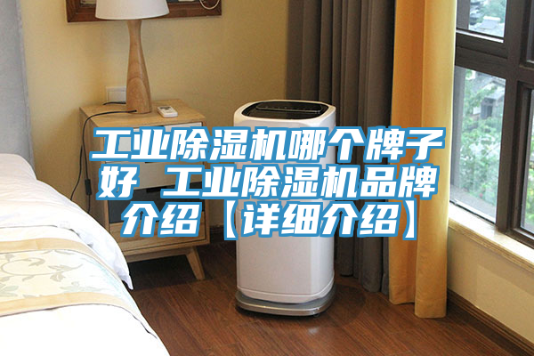 工业免费看操逼软件哪个牌子好 工业免费看操逼软件品牌介绍【详细介绍】