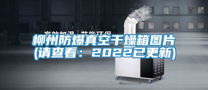 柳州防爆真空干燥箱图片(请查看：2022已更新)