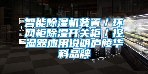 智能免费看操逼软件装置／环网柜除湿开关柜／控湿器应用说明庐陵华科品牌