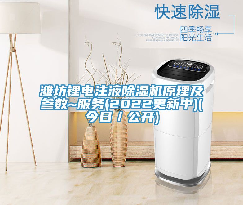 潍坊锂电注液免费看操逼软件原理及参数~服务(2022更新中)(今日／公开)