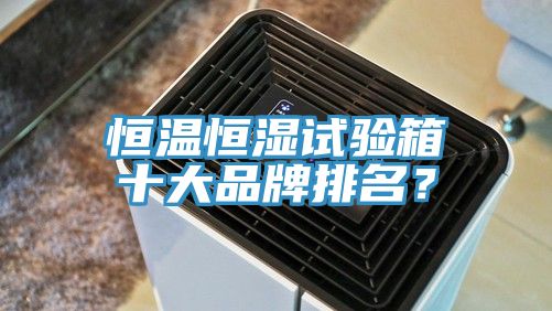恒温恒湿试验箱十大品牌排名？