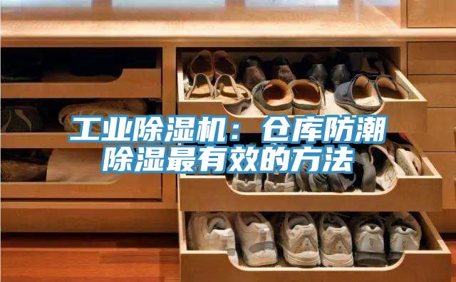 工业免费看操逼软件：仓库防潮除湿最有效的方法