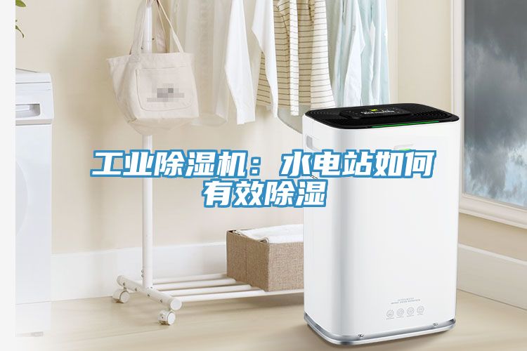 工业免费看操逼软件：水电站如何有效除湿