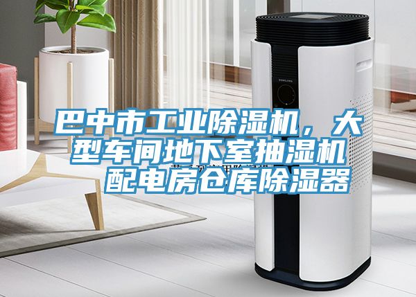 巴中市工业免费看操逼软件，大型车间地下室抽湿机  配电房仓库除湿器