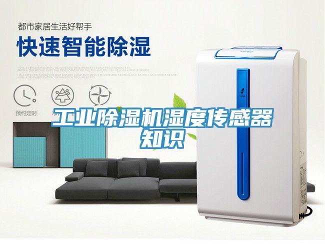 工业免费看操逼软件湿度传感器知识