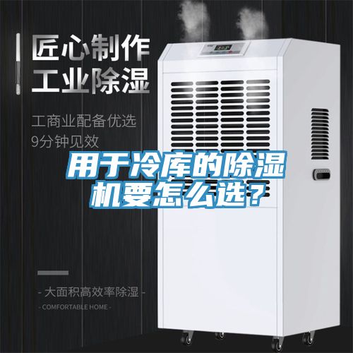 用于冷库的免费看操逼软件要怎么选？
