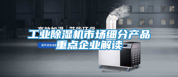 工业免费看操逼软件市场细分产品重点企业解读