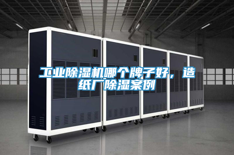 工业免费看操逼软件哪个牌子好，造纸厂除湿案例