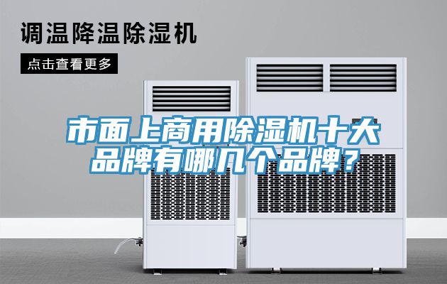 市面上商用免费看操逼软件十大品牌有哪几个品牌？