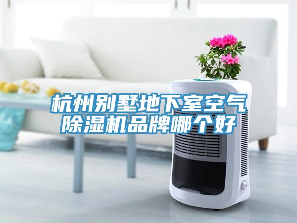 杭州别墅地下室空气免费看操逼软件品牌哪个好
