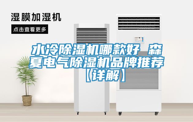 水冷免费看操逼软件哪款好 森夏电气免费看操逼软件品牌推荐【详解】