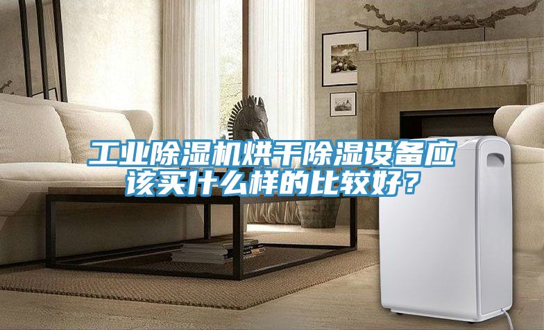 工业免费看操逼软件烘干除湿设备应该买什么样的比较好？